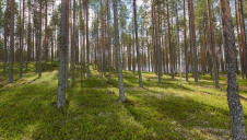 The revolving credit facility has a five-year duration. Image: UPM